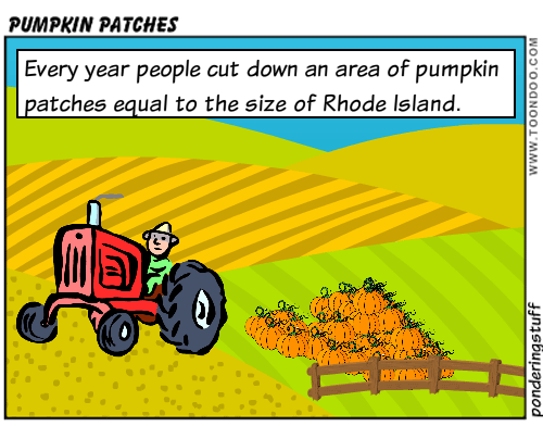 Amount of pumpkin patches lost each year.